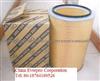 IVECO Truck Air Filter 2996155