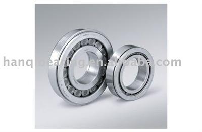 Cylindrical Roller Bearings NSK
