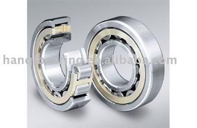 NU NF series Cylindrical Roller Bearings NSK