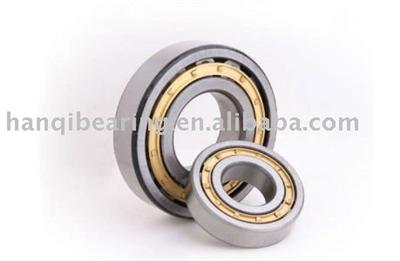 NU series Cylindrical Roller Bearings NSK