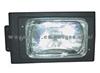 Scania Truck Fog Lamp Protector(A-003)