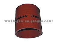 Scania Truck Hose(C-069)