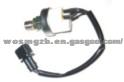 Scania Sensor(C-195)
