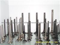 Engine Valves for Cummins 3924492