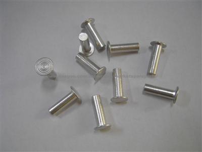 Aluminium Alloy& Steel Rivet&flat Head Solid Rivet Aluminum 6*20mm