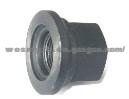 Renault Truck Wheel Bolt(G-016)