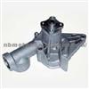 Water Pump NM01041225