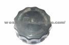 DAF Truck Cap(D-064-2)