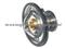 Renault Truck  Thermostat(G-051)