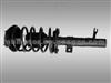 Ford Shock Absorber NM95715052