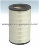 Air Filter AF25437