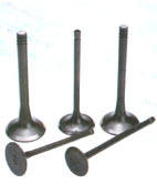 Mitsubishi Engine Parts Intake Valve, Exhaust Valve, Auto Parts,