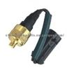 Water Temperature Switch SW1047 99452677