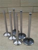 Engine Valve For Peugeot