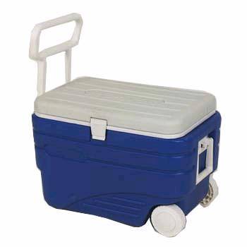 Cooler Box/Size: 54*27.4*38.1cm