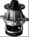 DP-BM015 Water Pump