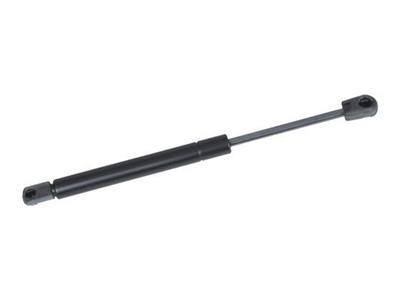 gas strut (BQT025)