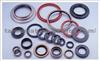 Rubber Parts, Seal, Ring, Rubber Ring, Gasket for Ford