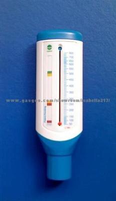 Peak Flowmeter for Shanghai Maple