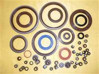 Oil Seals QS9000 TS16949