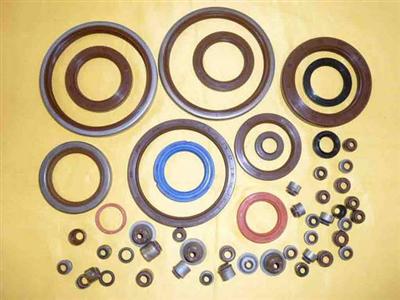 Oil Seals QS9000 TS16949