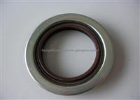 Skeleton Oil Seal HY230