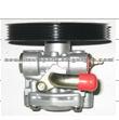 Power Steering Pump 004