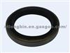 Oil Seal 122 LB01-04001