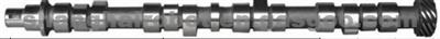 CAMSHAFT ISUZU SERIES 894097120