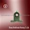High-quality Pillow Block Bearing UCT205