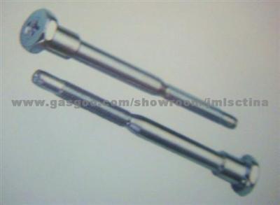 Steel Automobile Screw for Acura