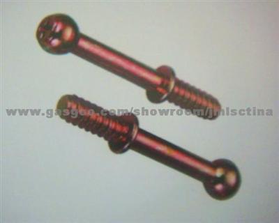 Steel Automobile Screw for Beiqi