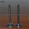Engine Valves For Cummins 6CT 8-97940-026