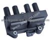 Ignition Coil DQG491