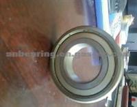 Deep Groove Ball Bearing 6004