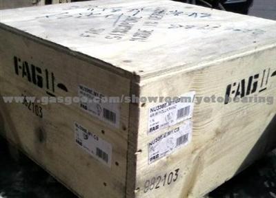 Yoto Bearing Cylindrical Roller Bearing Skf;Timken;Nsk;Fag;Ntn;Koyo;Ina