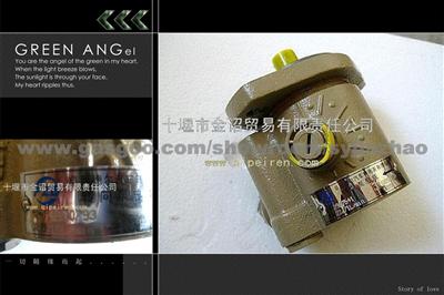 Cummins Power Steering Pumps C4930793