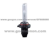 Xenon HID Bulb H10