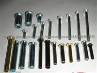 Steel /Alloy Steel /Stainless Steel Rivet