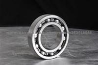 Deep Groove Ball Bearing 6019