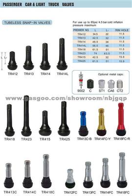 Tire Valve for BMW