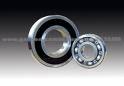 Deep Groove Ball Bearing 6219