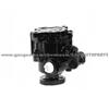 809005 Power Steering Pump Ford