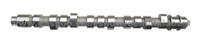 CS6450 CAMSHAFT