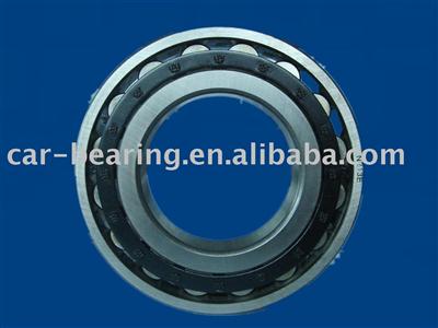 Cylindrical Bearings N213E