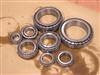 Axle Bearing for Audi Truck - Sport Utility