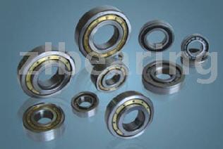 Axle Bearing for Ikarus-Crown