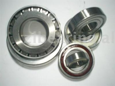 Axle Bearing for Flxible Truck