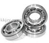 Deep Groove Ball Bearings (6000/6200/6300/6700/6800/6900 Series)