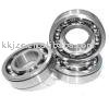 Deep Groove Ball Bearings (6000/6200/6300/6700/6800/6900 Series)